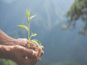 ISO 14001